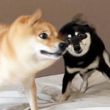 7MMBET Login | Developer Permainan Daring Paling Mudah Ditemukan Di Google image 1